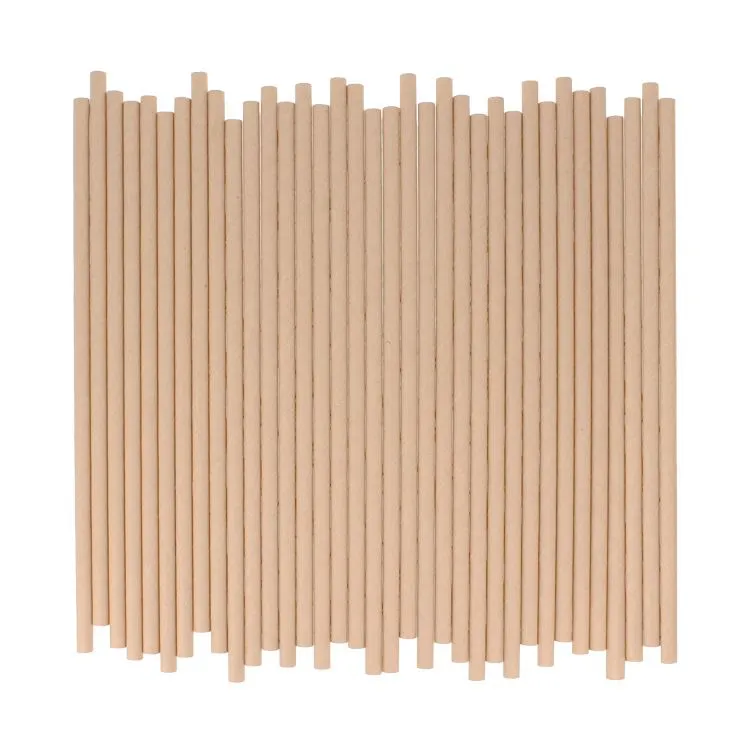 Pailles en papier 'Kraft' (35 pcs)