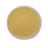 Poudre à embosser 'Gold pearl - regular"