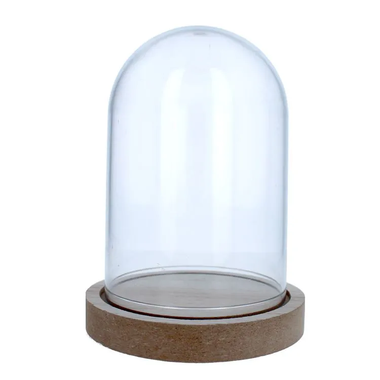 Plexiglaskuppel' (8x12cm)