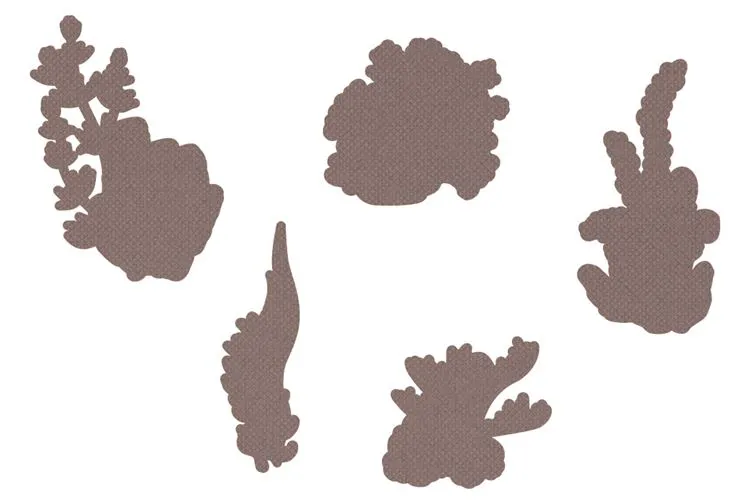 Matrices de découpe 'Jardin marin' (contour)  