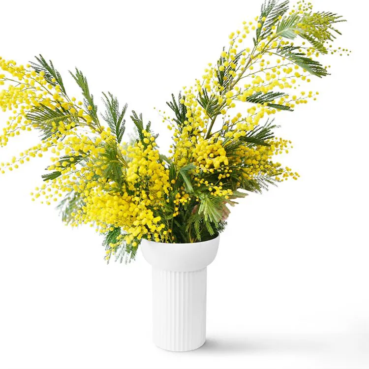 Vase &Eacute;l&eacute;gance