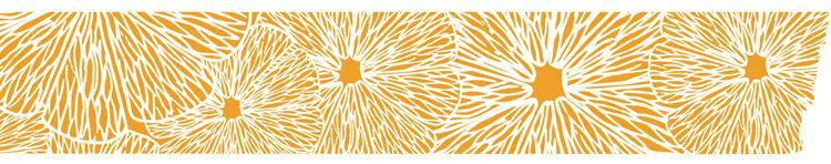 Washi-tape XL 'Agrumes' (40mmx3m)