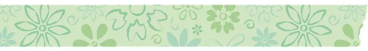 Washi tape 'Fiesta' 15mmx8m
