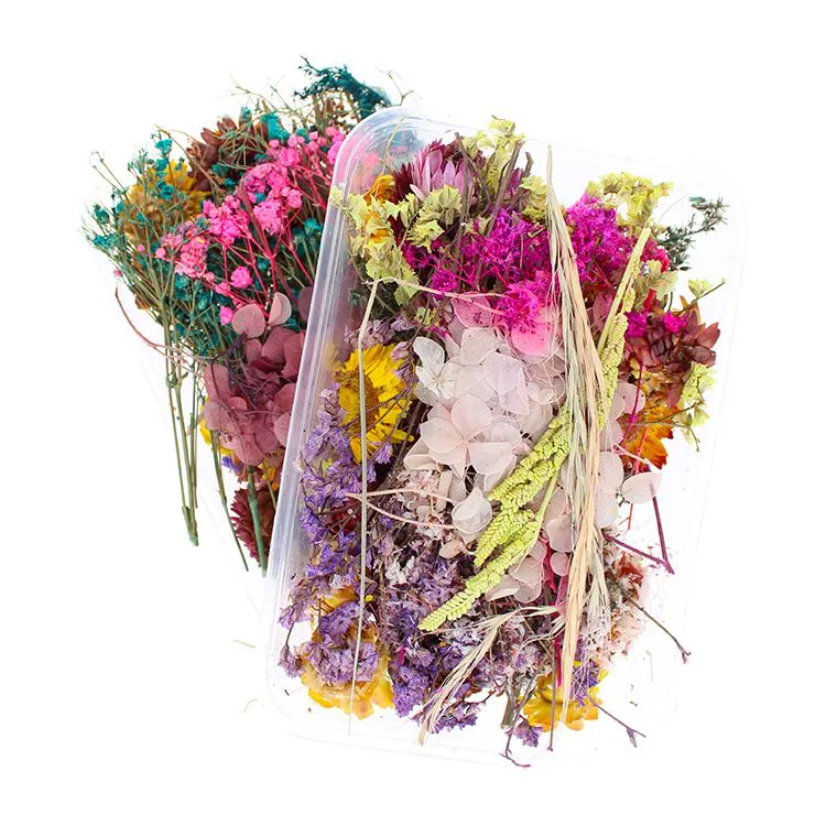 Vraies fleurs sechées ( Boite)
