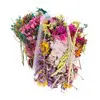 Echte getrocknete Blumen (eine Box)