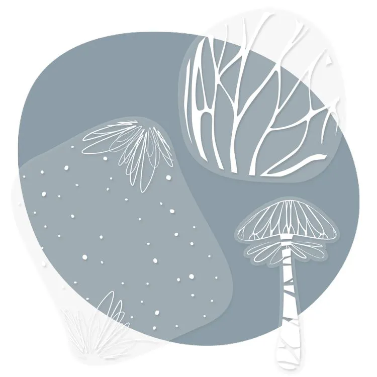 Cadres transparents 'forêt enchantée' (3pcs)