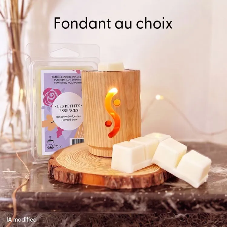 Diffusor Osmose + Duftwachs nach Wahl