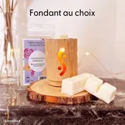 Diffusor Osmose + Duftwachs nach Wahl