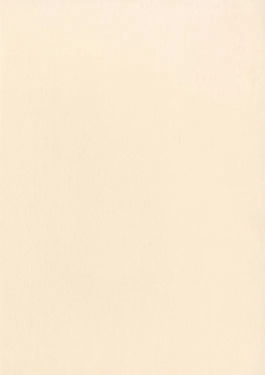 Papier A4 10p Naturel