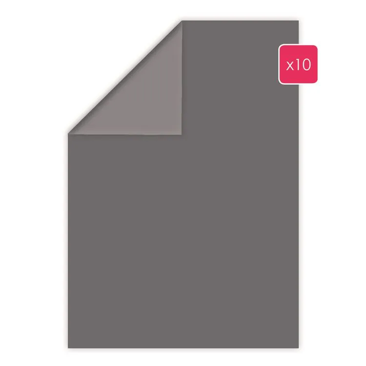 Papier A4 duo 10p 'Dauphin' 