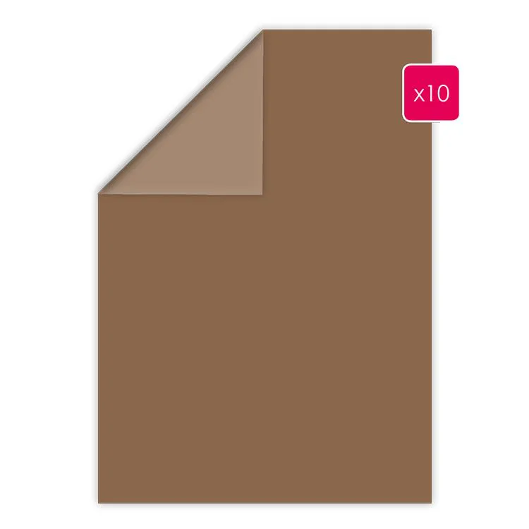 Papier A4 duo 10p 'Châtaigne'  