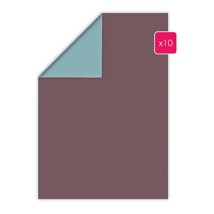 Papier A4 duo 10p 'Orchidée-Pétunia'   