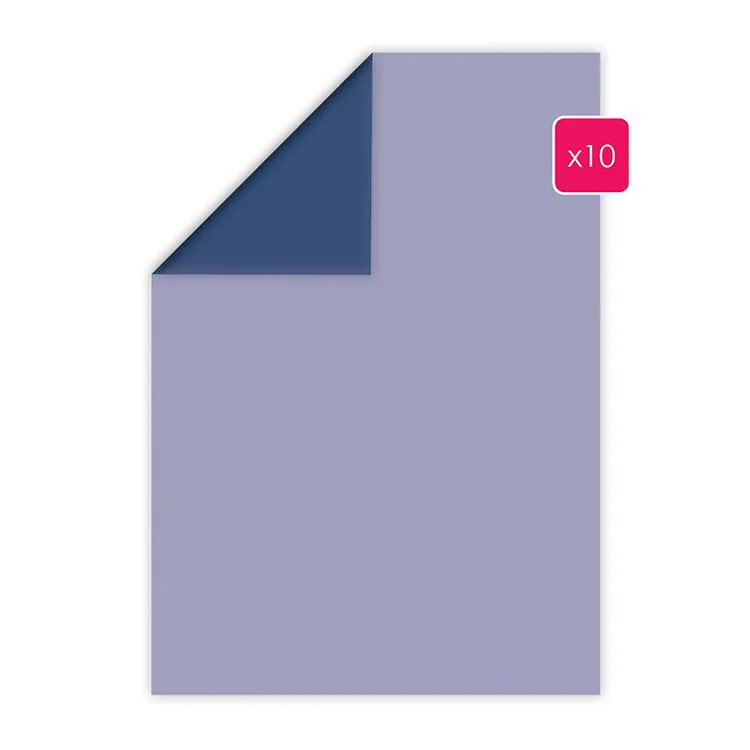 Papier A4 duo 10p 'Hortensia-Bleu nuit' 