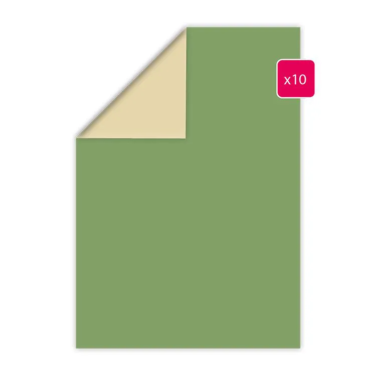 Duopapier A4 'Wiese-Hafer' (10 Stk.)