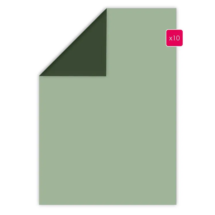 Duopapier A4 'Graugr&uuml;n - Tannengr&uuml;n' (10 Stk.)
