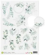 Saynète prédécoupées vellum 'Eucalyptus'