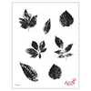 Tampons diamant 'Herbier'