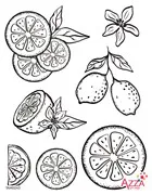 Tampons diamant 'Agrumes I'