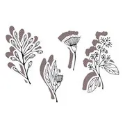 Matrices de découpe 'Flore' (contour)