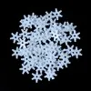 Flocons de neige 'Blanc' (30gr)