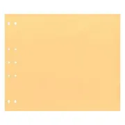 Pages tendance 30x30 'Paille' (20p)