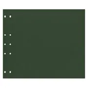 Pages tendance 30x30 'Vert sapin' (20p)