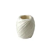 Raphia Couleur 'Naturel' (3cmx20m - 15g)