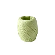 Raphia Couleur 'Vert pomme' (3cmx20m - 15g)