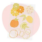 Stickers de transfert 'Agrumes' (2pcs)
